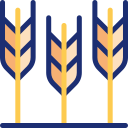 trigo icon