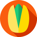 pistacho icon