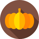 calabaza icon