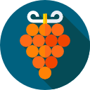 uvas icon