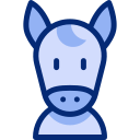 Donkey 