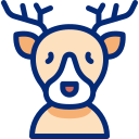 cervo 