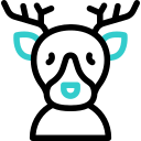 cervo 