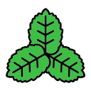 menta icon