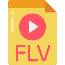 flv icoon