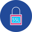 ssl icon