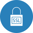 ssl icon