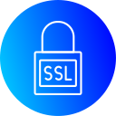 ssl icon