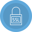 ssl icon