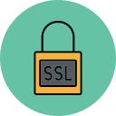 ssl icon