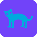 gato icon