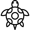 tortuga icon