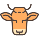 vaca 