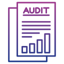 auditoría icon