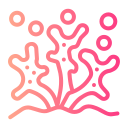 Коралл 