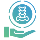 columna vertebral