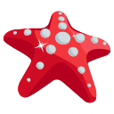 Star fish 