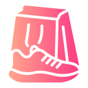 zapatos icon