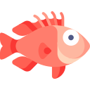 pescado rojo icon