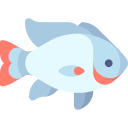 tilapia icon