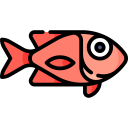 pescado rojo