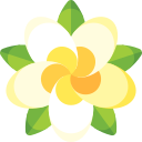 frangipani icon