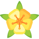 turnera ulmifolia icon