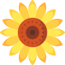 girasol