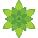 agave icon