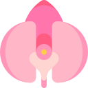 orquídea icon