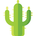 saguaro icon