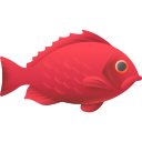 pez pargo rojo 