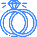 anillo icon