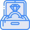 anillo icon