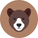 oso icon