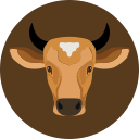 vaca icon