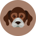 perro icon