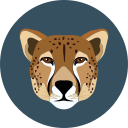 leopardo icon