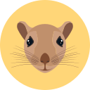 ratón icon