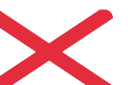 bandera icon