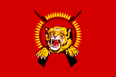 bandera icon