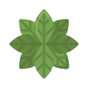 naturaleza icon