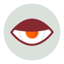 ojo icon