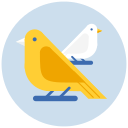 pájaro icon