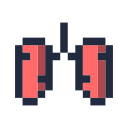 pulmones icon