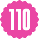 110 icon