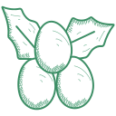 natal icon