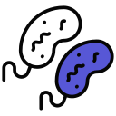 bacterias icon