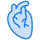 corazón humano icon