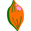 papaya icon